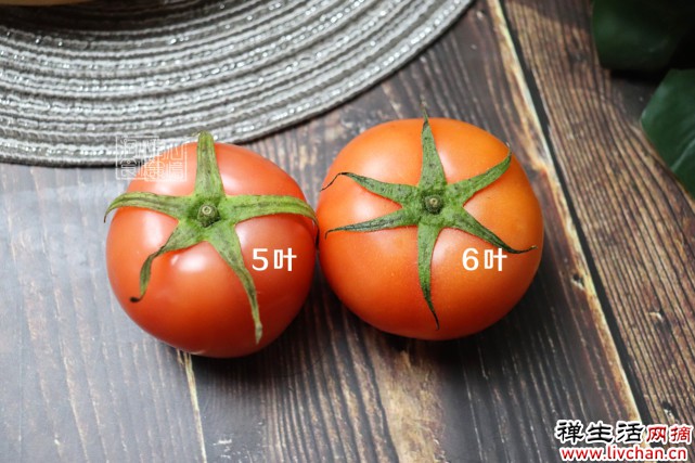 西红柿也分“公母”？挑5片叶还是6片叶？差别不小，学会不再买错
