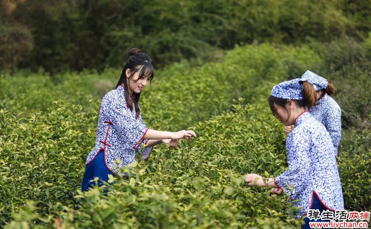 断舍离（深度好文）