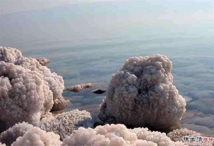 神奇的死海，为什么无人敢游泳？
