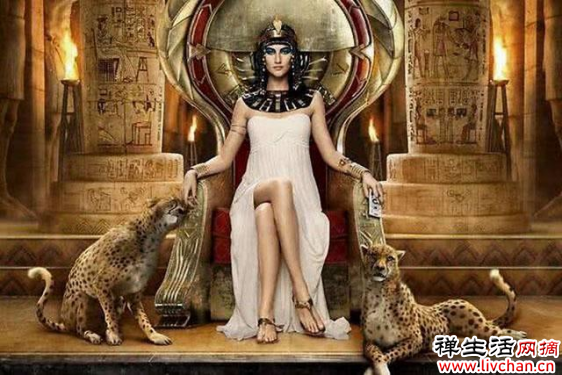 埃及艳后用毒蛇自尽，年过40容貌宛如少女，专家解开不老之谜