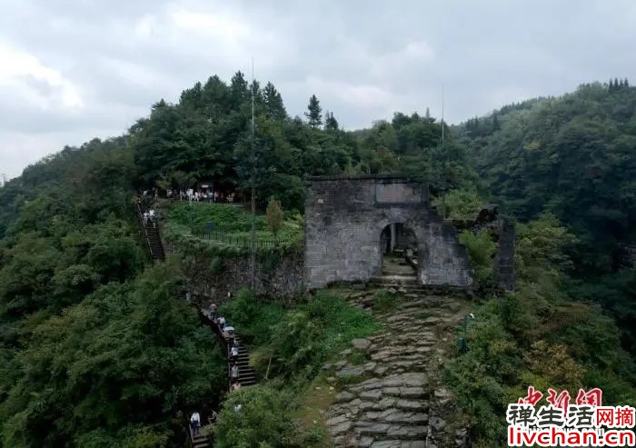 与人相处的建议：适当服软，合理装傻，永远清醒