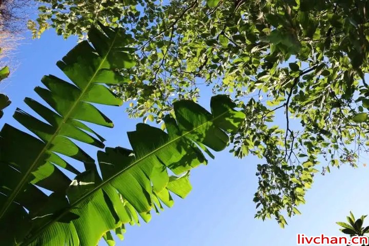 写点生活｜心里有什么，你看到就是什么