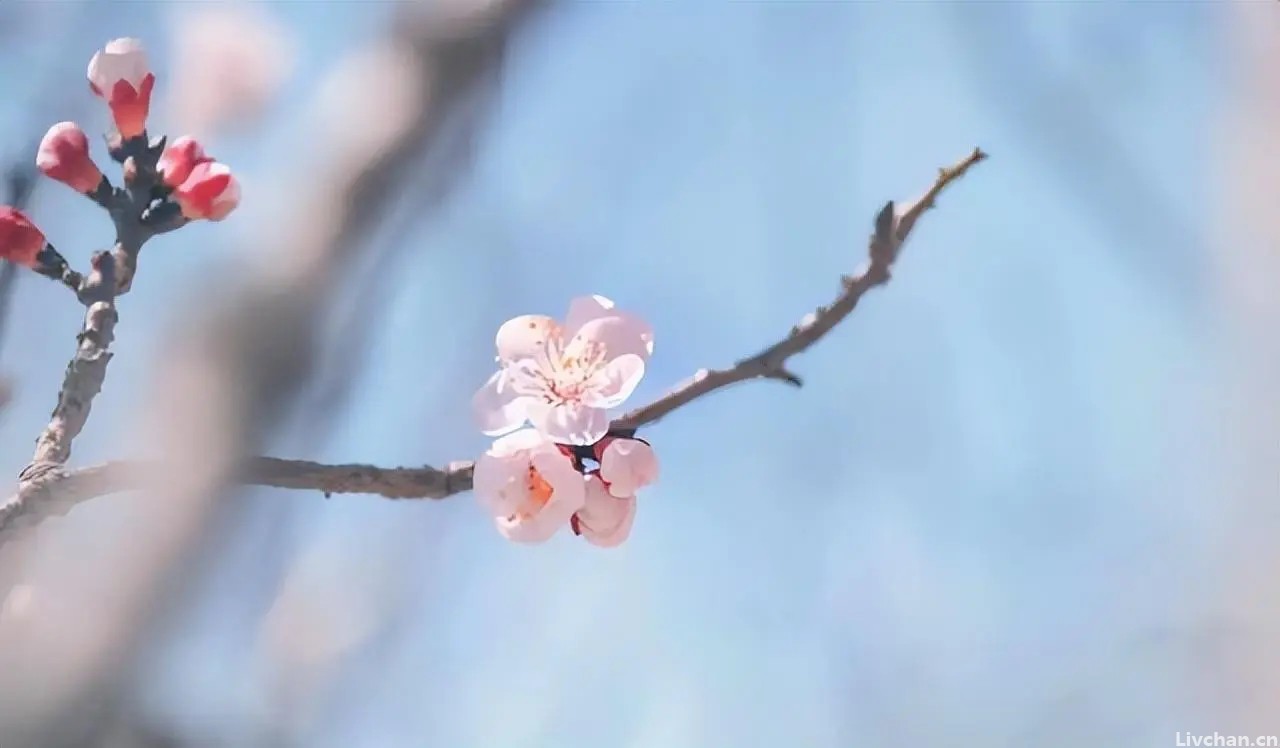 聪明人，一辈子，六不问