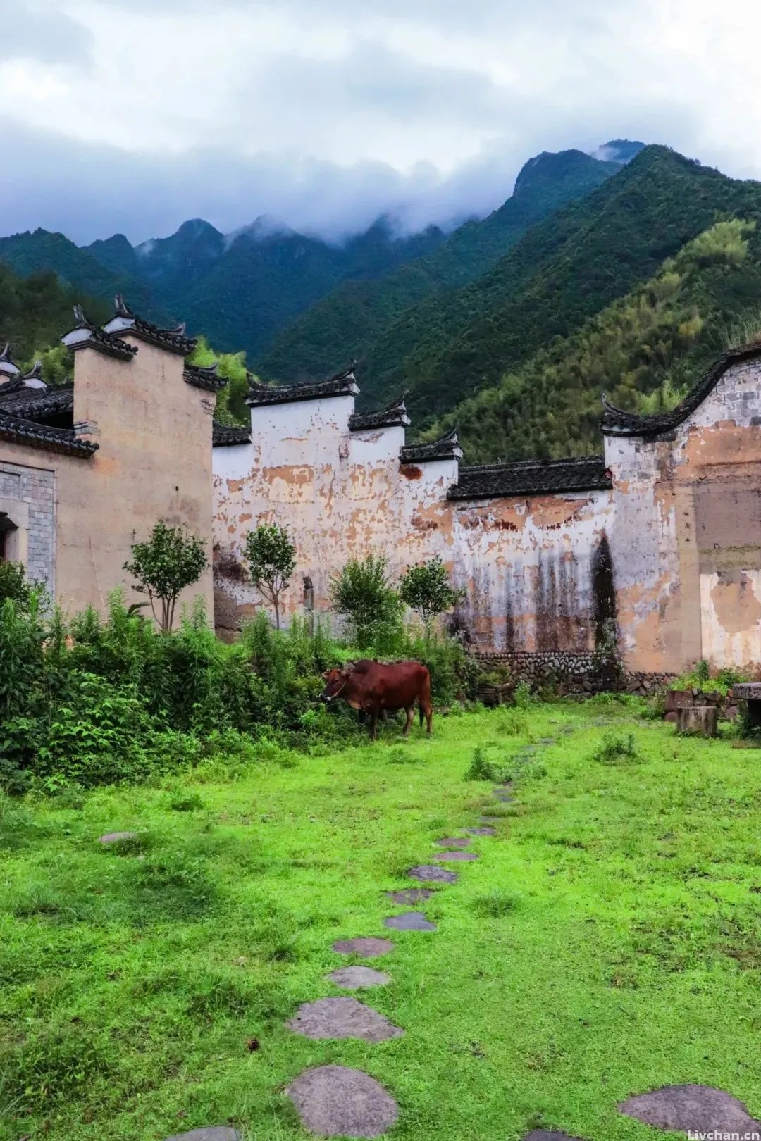 王维经典的10首诗，安静而美好