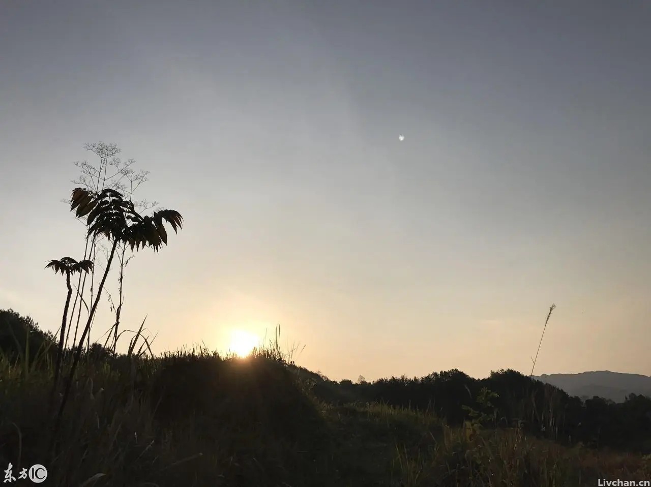 乡村早已消失了，它曾存在于诗经楚辞与山水画中