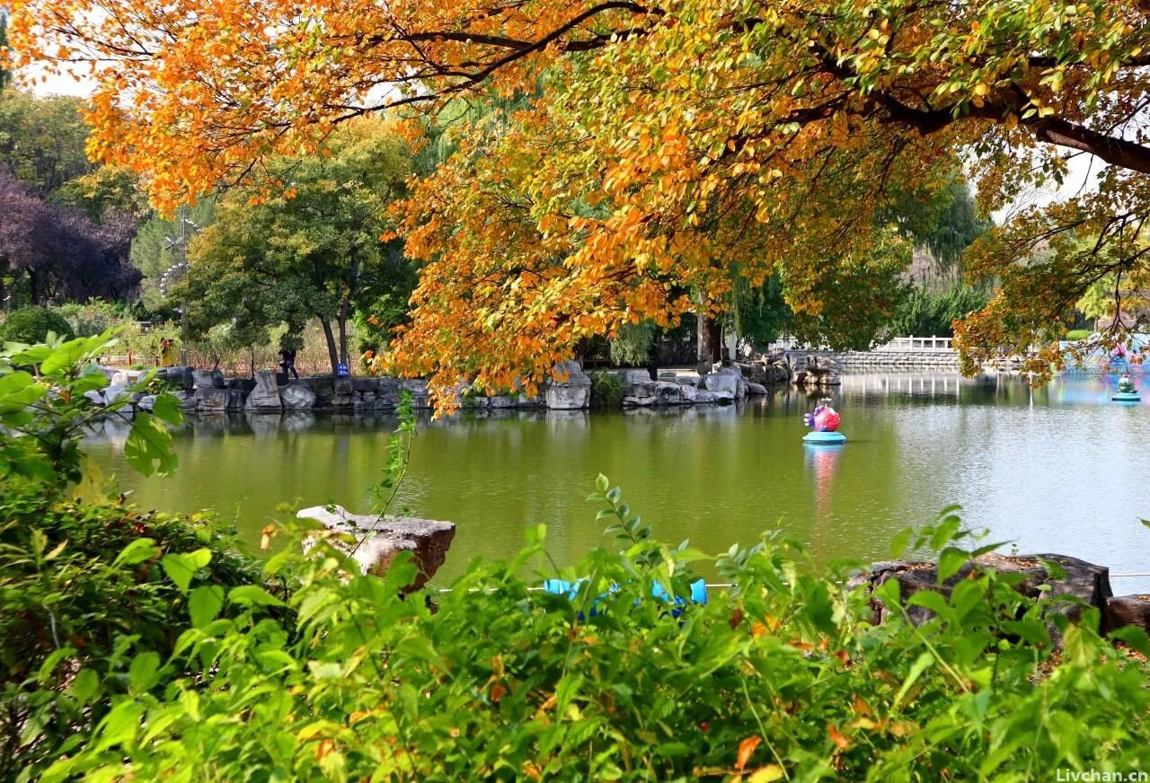 《春江花月夜》何以孤篇盖全唐 《春江花月夜》何以孤篇盖全唐