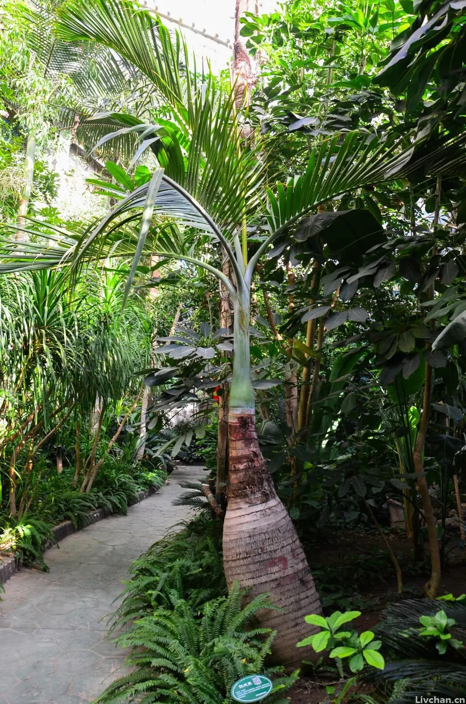 《春江花月夜》何以孤篇盖全唐 《春江花月夜》何以孤篇盖全唐