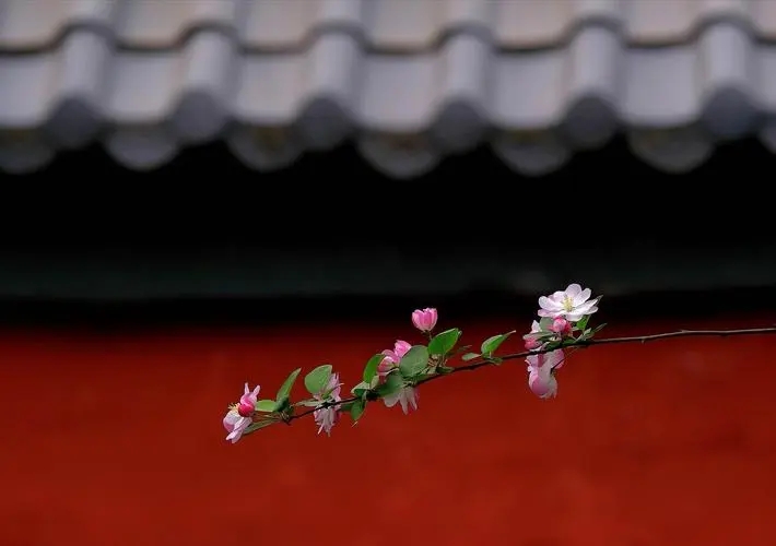 带你全面认识蓝色！青花蓝、琉璃蓝、钴蓝及中国传统颜色的雅称