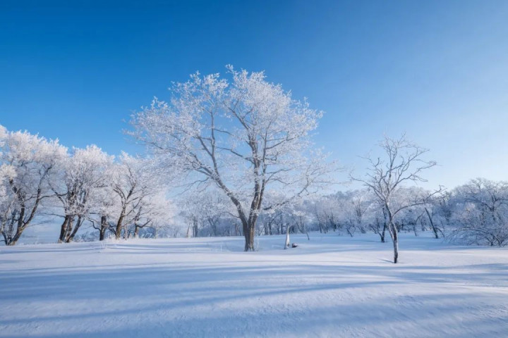 10首咏雪诗词, 柳絮风起, 枝头花开, 唯美了整个冬天