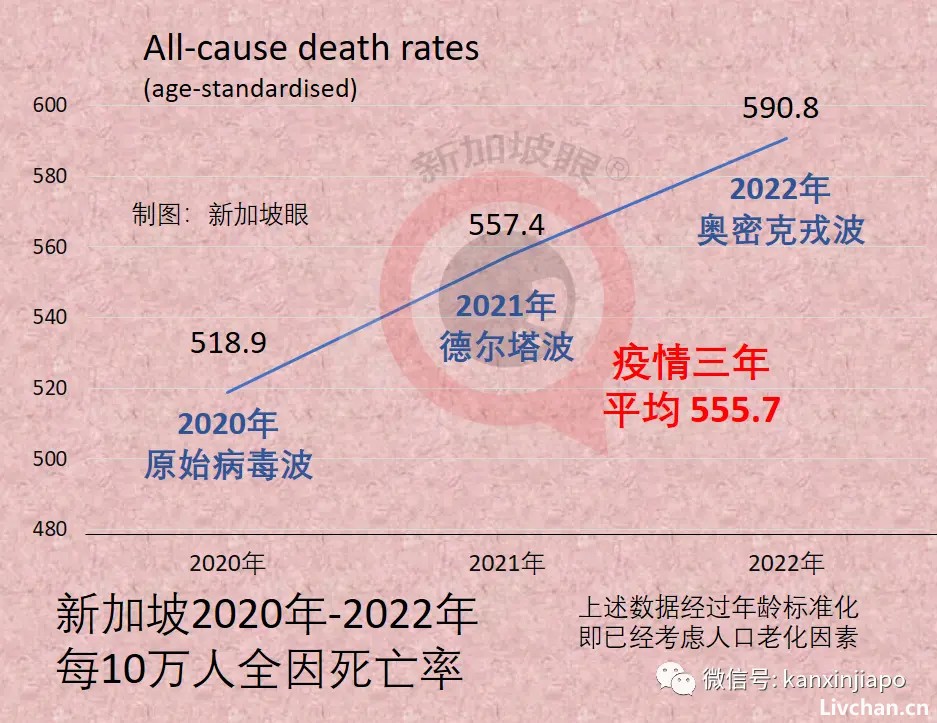 新加坡公布疫情三年超额死亡数据：间接死亡是直接病死的两倍