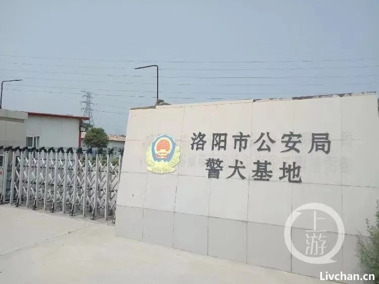 河南原司法厅长指示假“中纪委干部”组建专案组，刑讯逼供落马政委