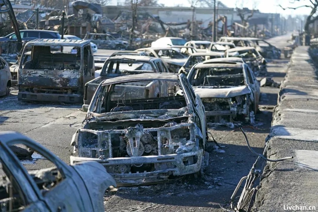 2023年8.8大火中的夏威夷街头生死逃亡：美国遭遇100年来最致命山火