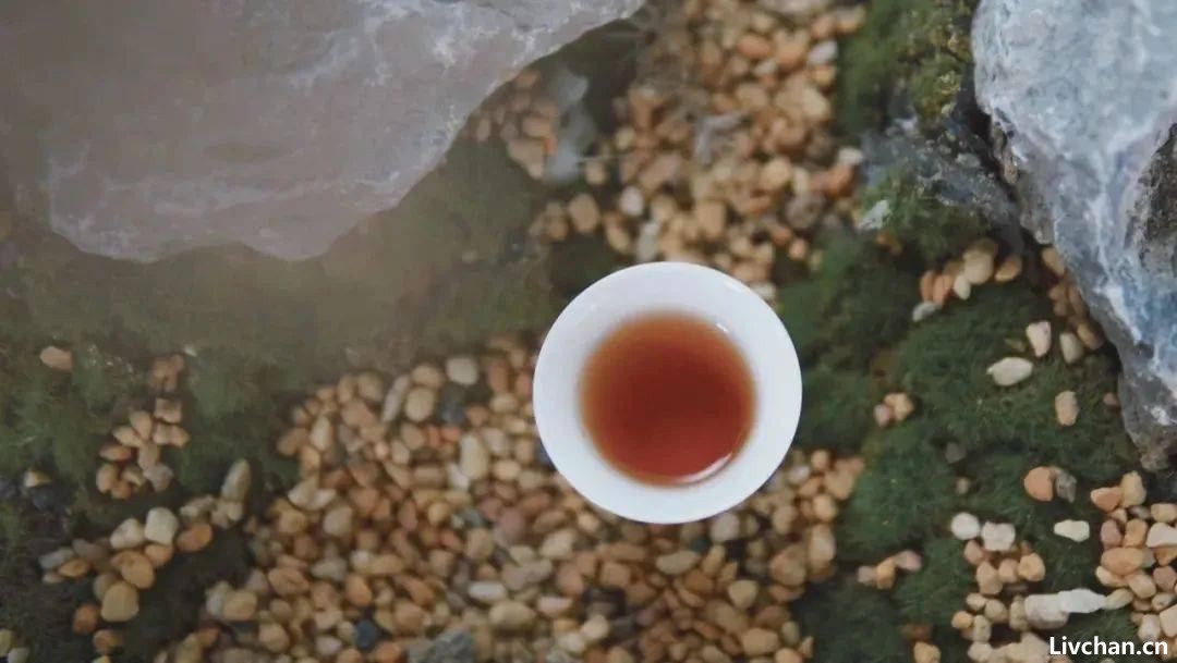 喝茶的一些小建议，以及茶桌上的七“雅士”，爱喝茶的看过来