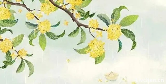 李清照的一首《多丽·咏白菊》，还有一首吟诵桂花的词，醉美千年