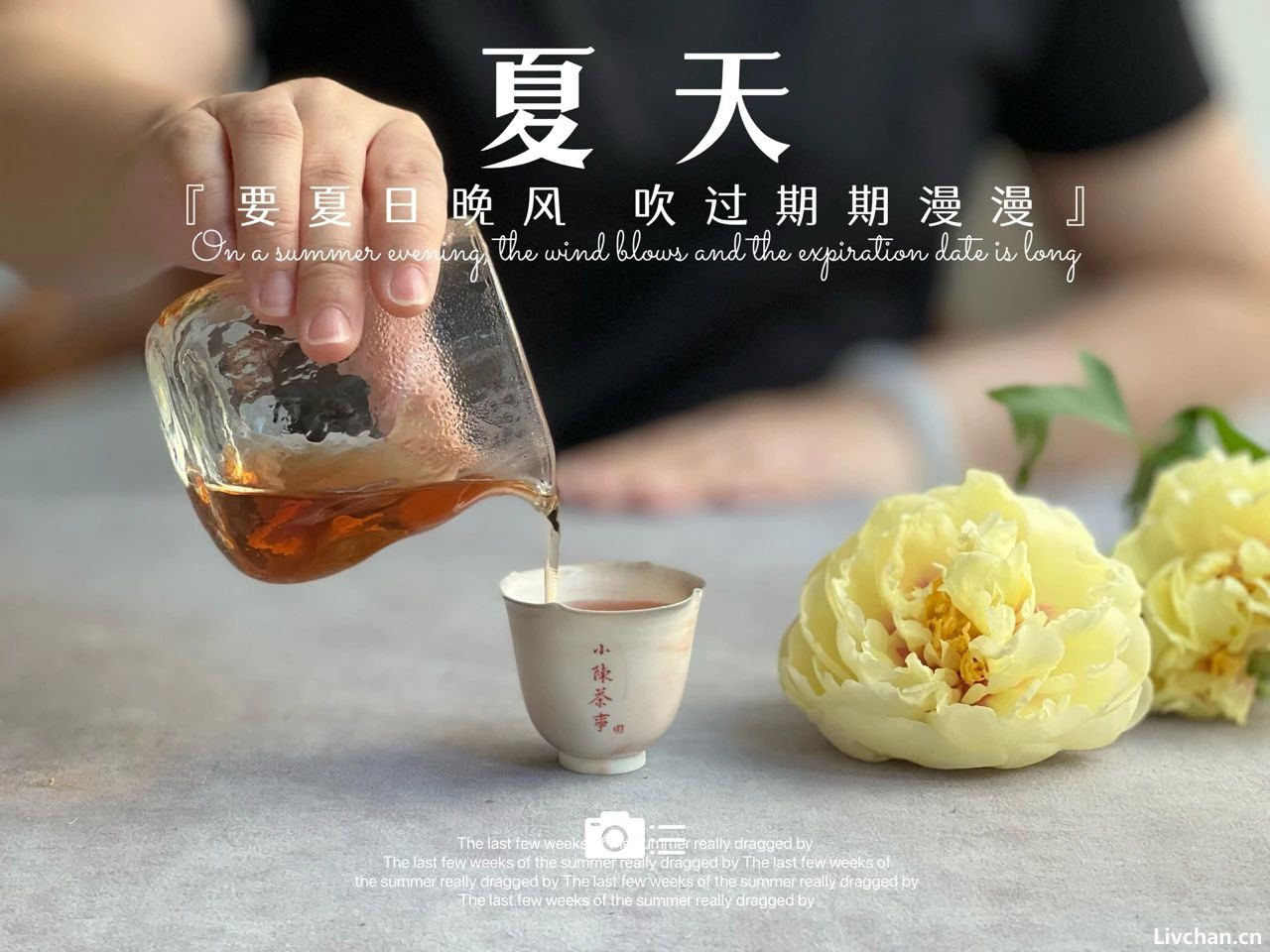 白茶的寿眉，乌龙茶的铁观音，再加工茶的茉莉花茶，都是低端茶？