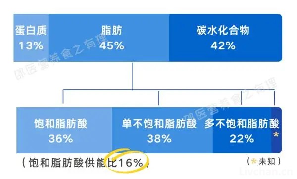 世界卫生组织（WHO）  发布的六项膳食指南