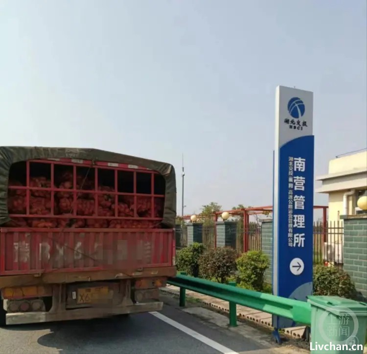 大货车湖北襄阳宜城市南营下高速时被收过路费900元，官方：紫薯不是红薯要收费