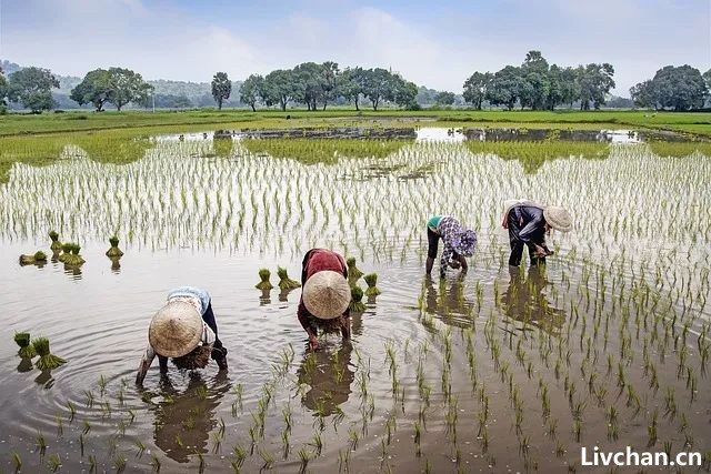 居民医保一年减少2500万人，保费持续上涨引发退保