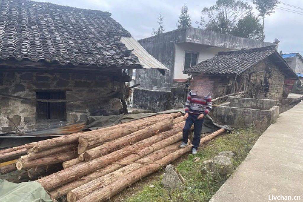 砍掉自家林木都不行？生态法庭法官解读“四川农夫砍伐自家林地案” 