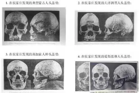 同学,你学的历史可能是错的… 同学,你学的历史可能是错的…