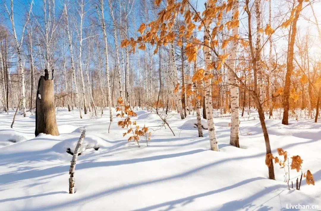 唐诗里最豪迈的三场雪，读出来，让人热血沸腾