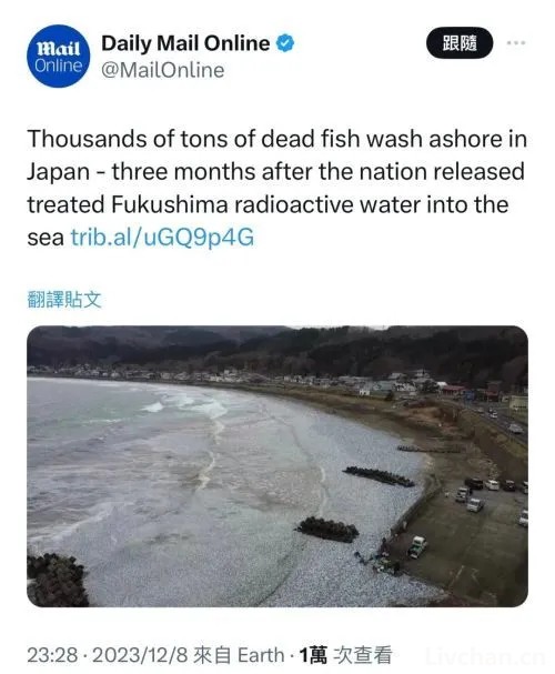 10天内两次出现大量死鱼，英媒将其与核污染水排海联系，日本提出严厉批评