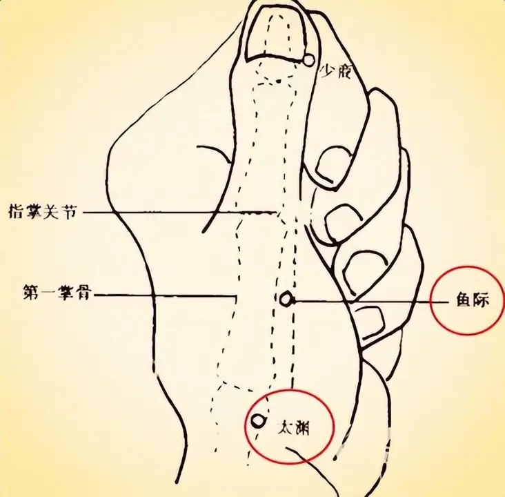 中医不是“慢郎中”，这些穴位一分钟治病