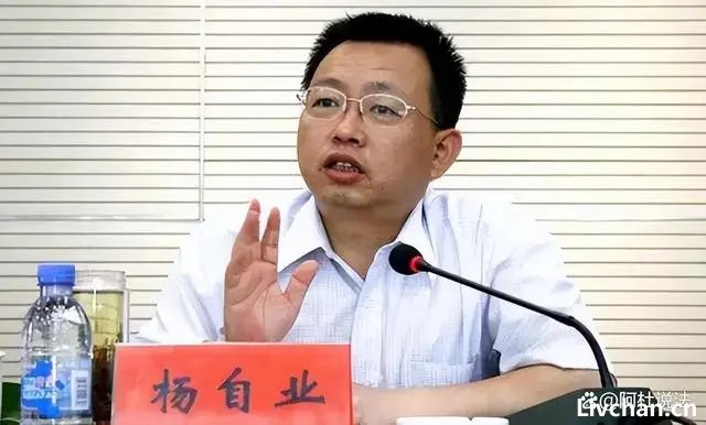 河南中烟公司原总经理杨自业服刑半年后，判决书内容仍未公开