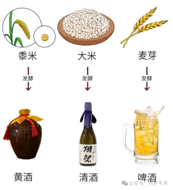 一次性搞懂15种酒，让你聊天更显学识深厚