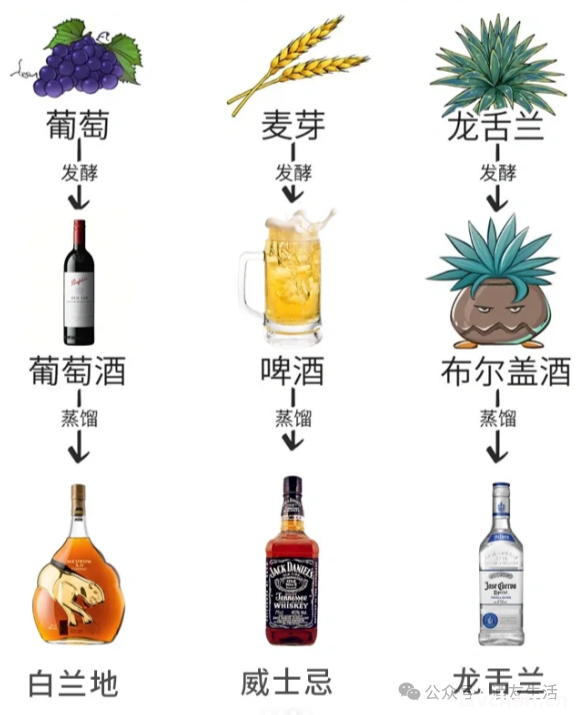 一次性搞懂15种酒，让你聊天更显学识深厚