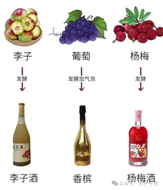 一次性搞懂15种酒，让你聊天更显学识深厚