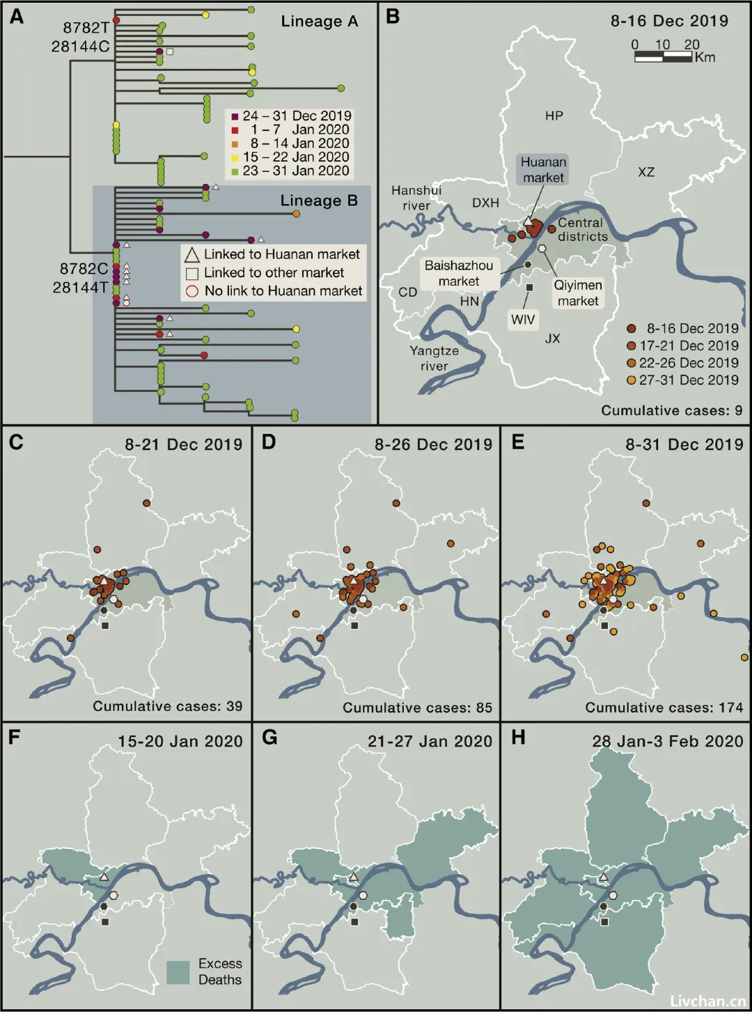 大反转!最新研究:现有数据无法证实“武汉华南海鲜批发市场是新冠疫情的起源地”,原因有三... 大反转!最新研究:现有数据无法证实“武汉华南海鲜批发市场是新冠疫情的起源地”,原因有三...