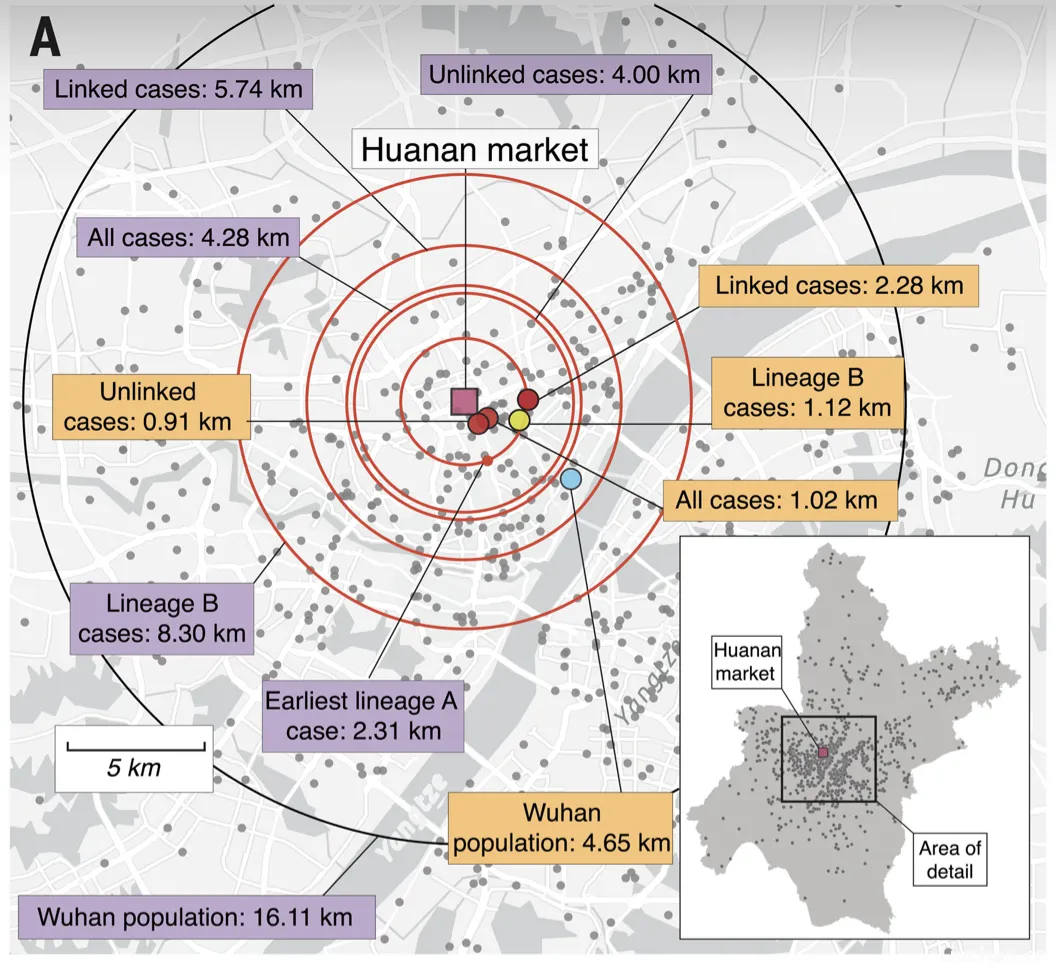 大反转!最新研究:现有数据无法证实“武汉华南海鲜批发市场是新冠疫情的起源地”,原因有三... 大反转!最新研究:现有数据无法证实“武汉华南海鲜批发市场是新冠疫情的起源地”,原因有三...