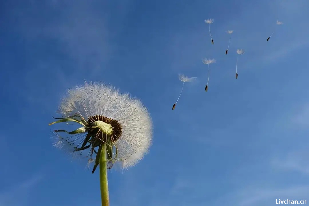 把一切看淡，是一种解脱