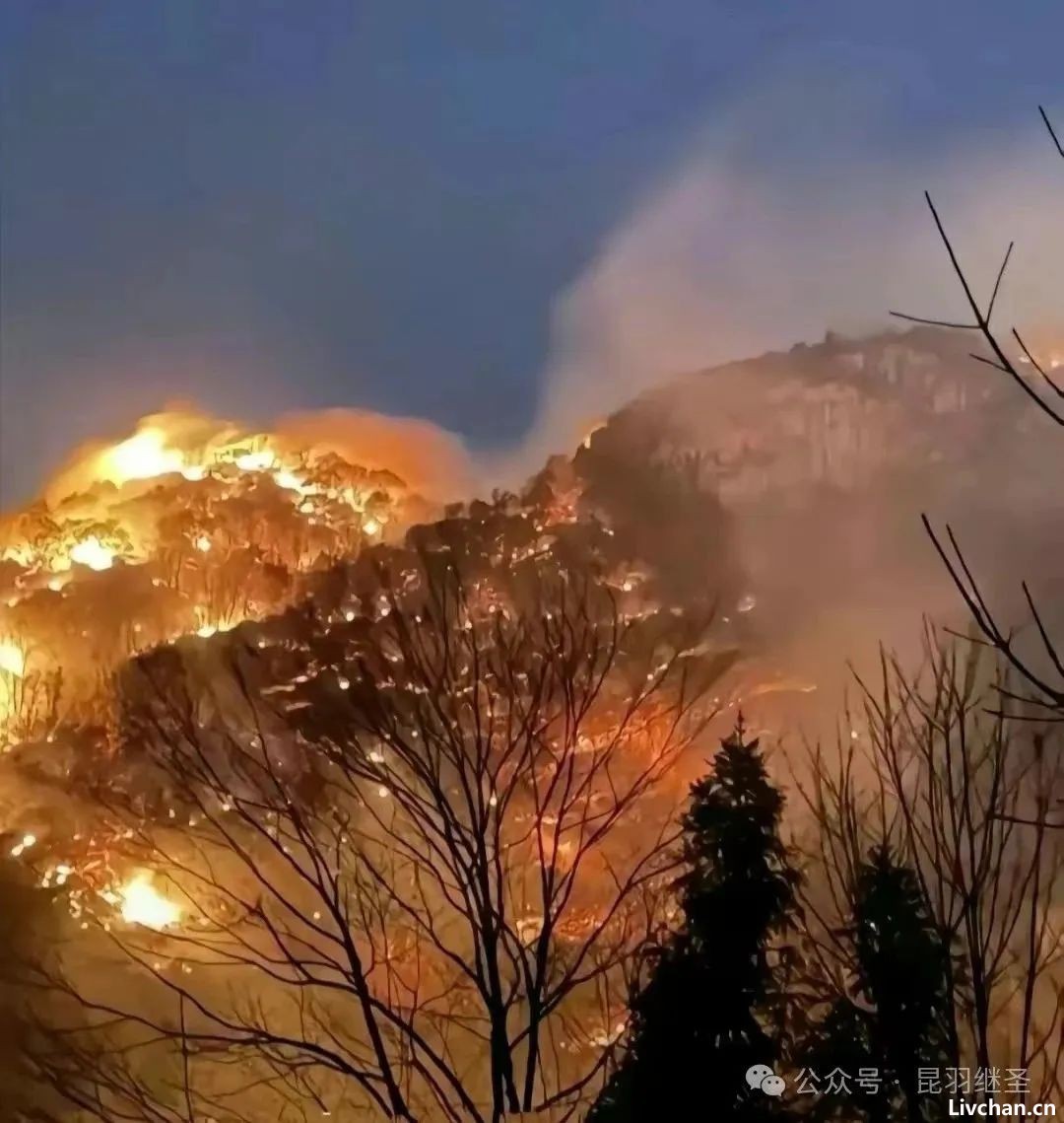 警惕！多处山火同时烧起，“不小心”  烧了中药材