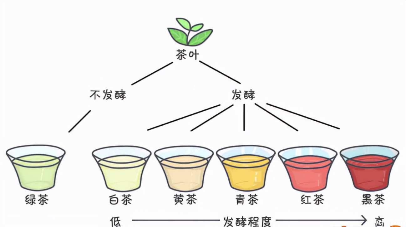 茶饼和散茶有何区别？你了解茶吗？哪一类茶更香醇？一起来品品