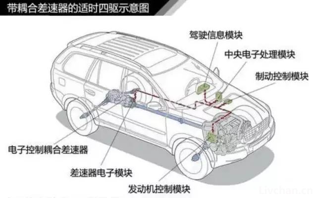 汽车知识大全，一篇文章搞定，赶紧收藏