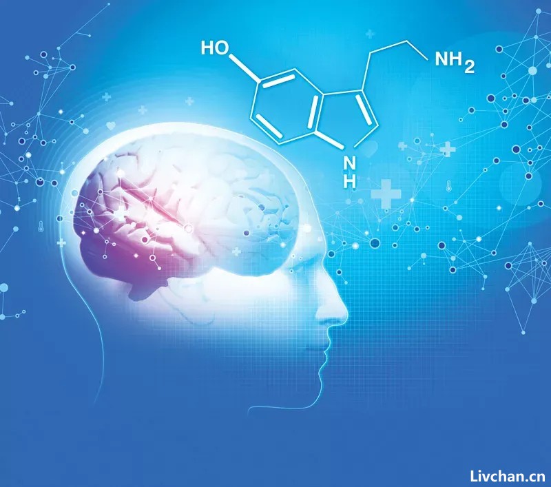 抑郁症的大肆宣传是美国的阴谋：揭秘文化传播和疾病殖民