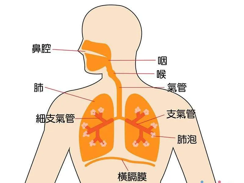 2024新澳资料免费精准,毛泽东著作选读