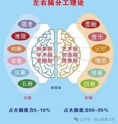 以正向情绪的能量驯服“情绪脑”，远离恐惧与压力