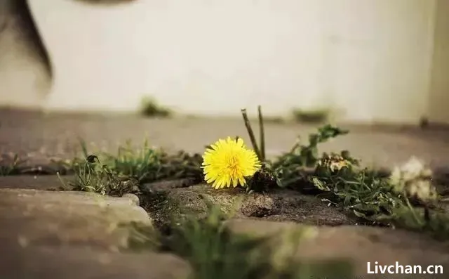 做人,不要去怪任何人! 做人,不要去怪任何人!