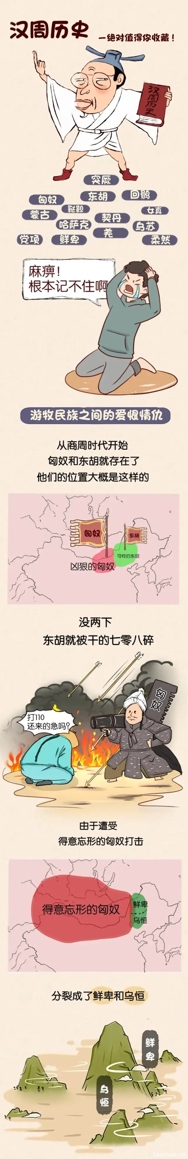 1724013924316691.webp