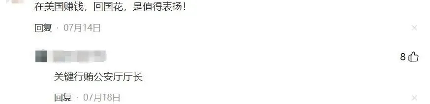 用22箱现金行贿，从美卷走129亿！中国富豪刘忠田获刑465年，要凉了