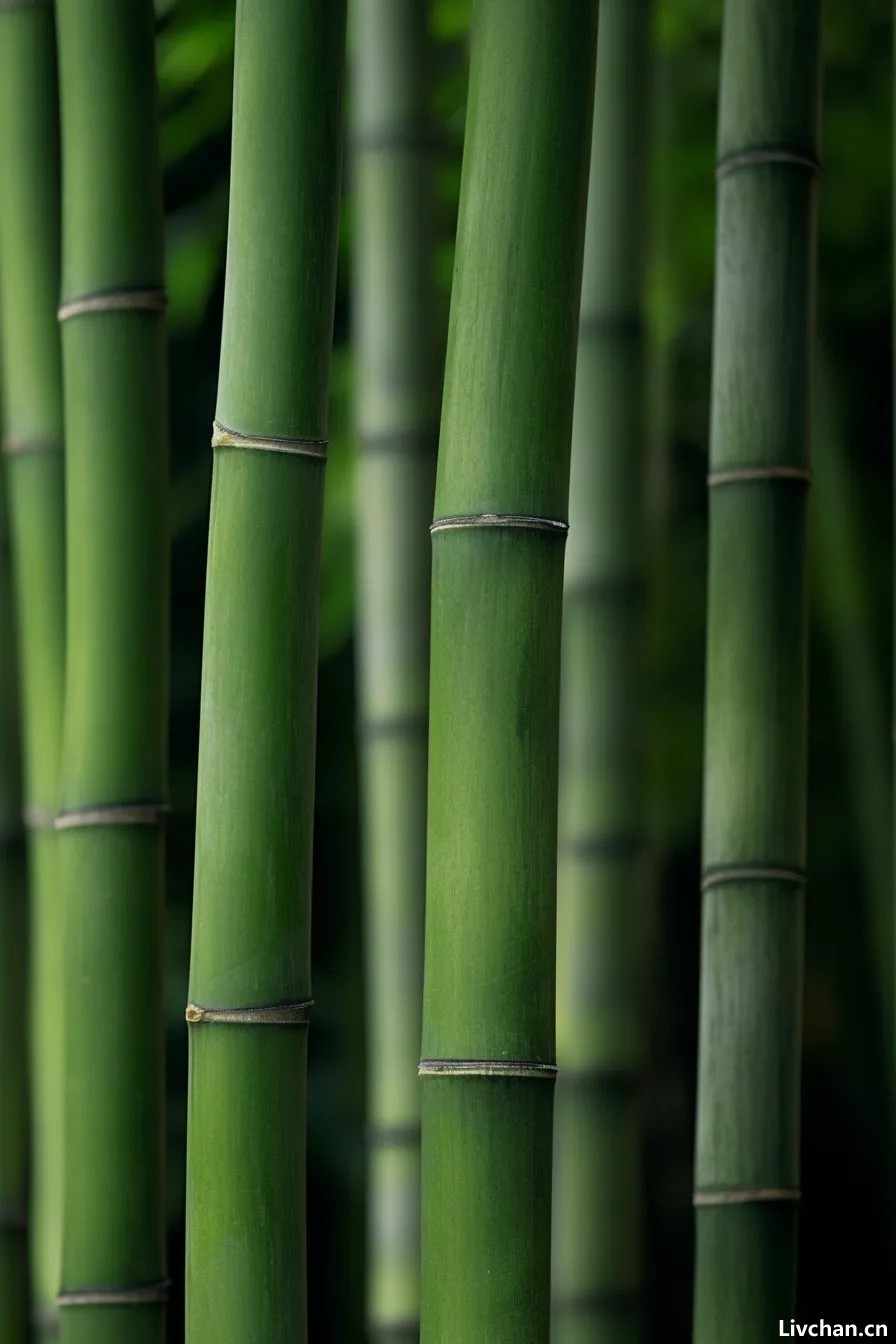 玄学提醒：人的运气和打扮往往有很大的关系