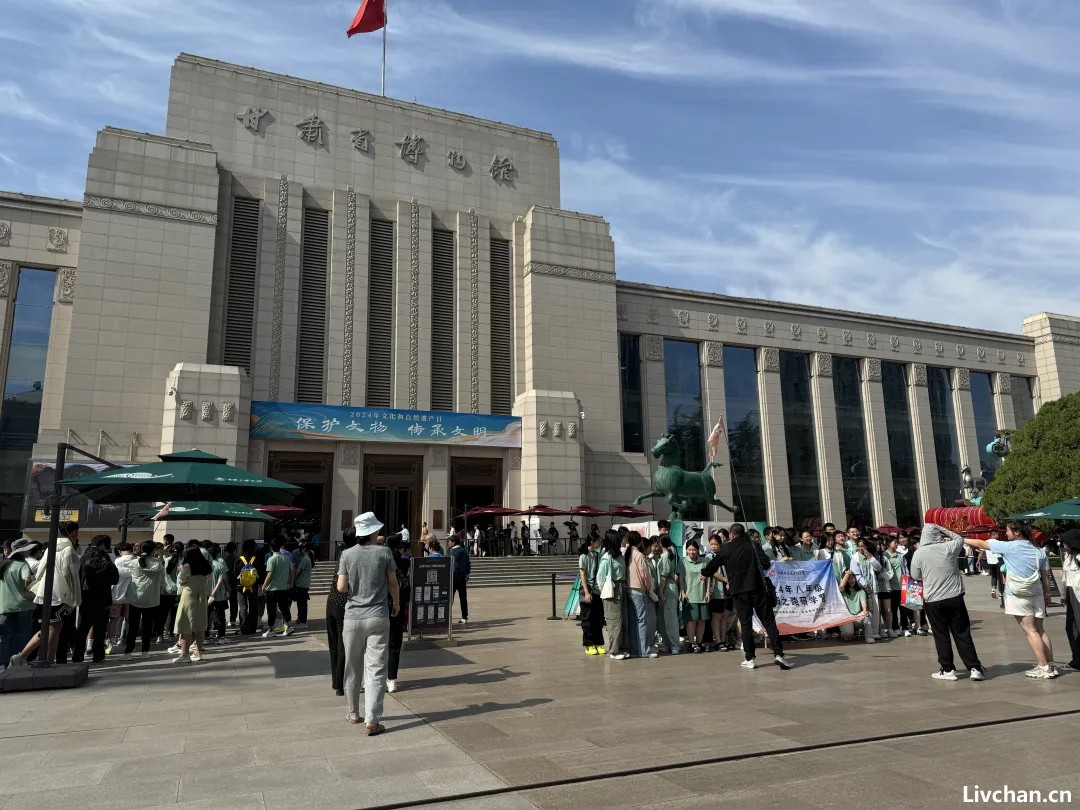 半个月6万元的研学团，“孩子坐在路边玩手机”