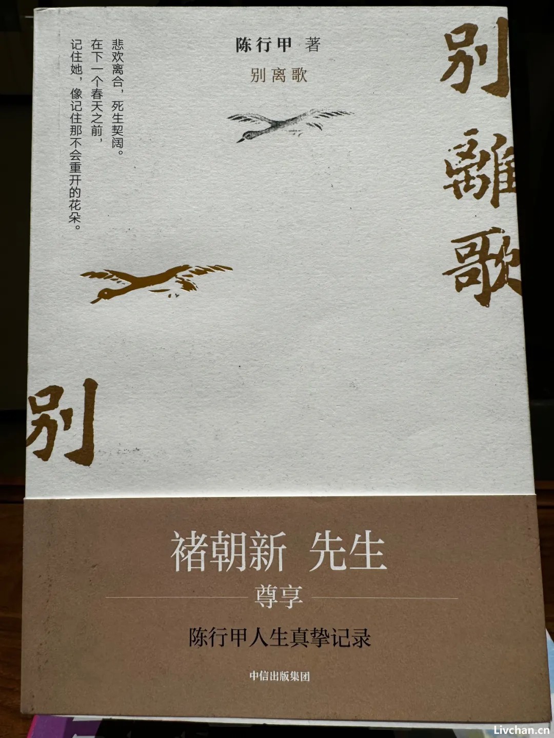 陈行甲若不辞职只有死路一条，说他是逃兵的非蠢即坏