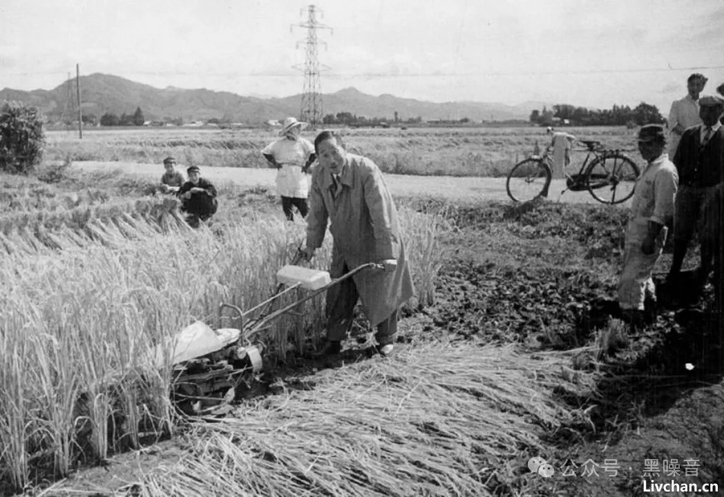 农民未能富起来，是这40年来发展最大的遗憾