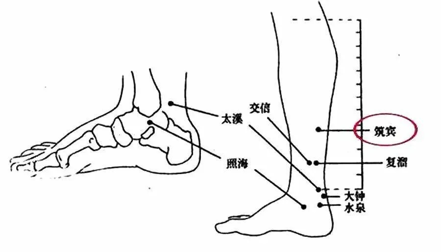 只要把肾经打通，这些病就全没了