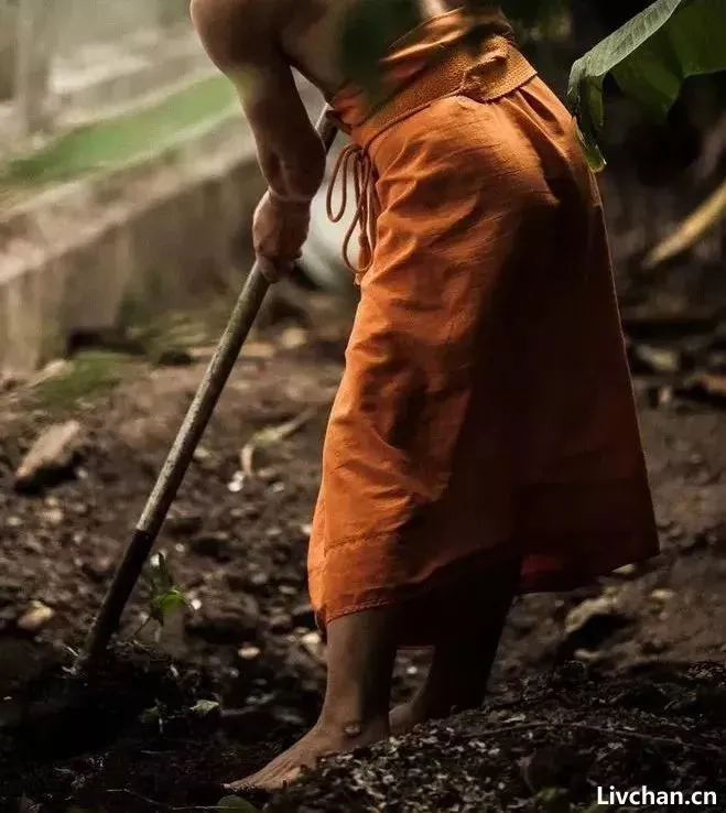北大教授:人生的意义不是想出来的,而是活出来的! 北大教授:人生的意义不是想出来的,而是活出来的!