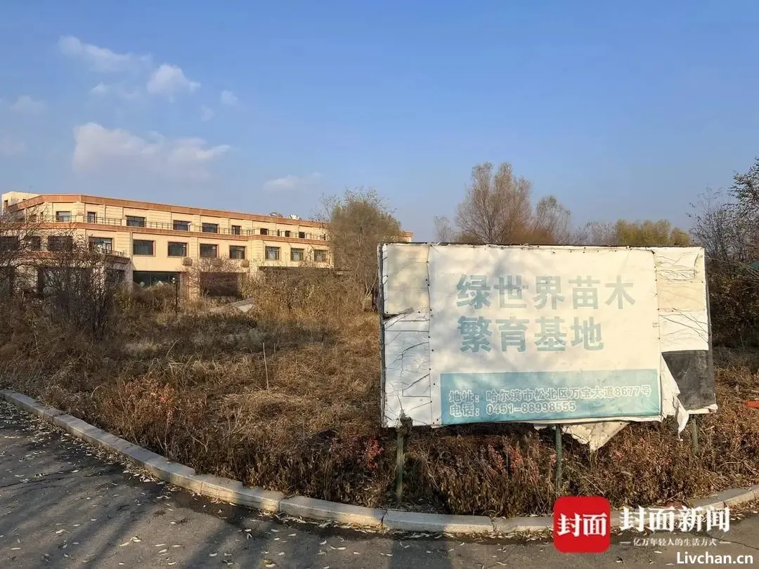 哈尔滨“警虎”于涛一家人涉黑团伙覆灭:商业版图涉30余家公司 哈尔滨“警虎”于涛一家人涉黑团伙覆灭:商业版图涉30余家公司